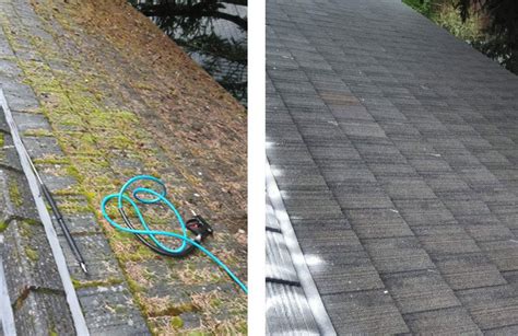 Seattle Roof Cleaning l Roofing Contractor l Seattle, Bellevue, Everett & Arlington, WA