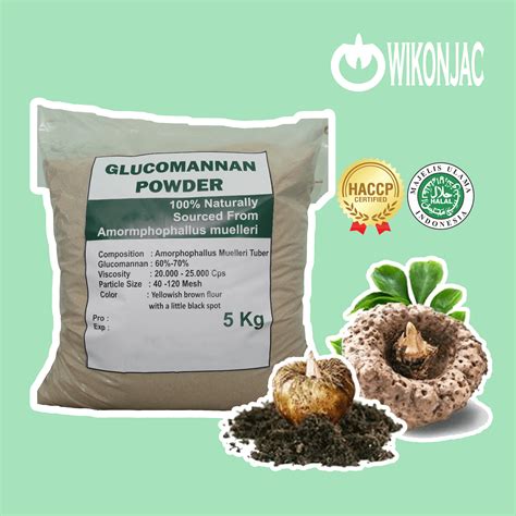 Konjac Glucomannan Powder | Inaexport