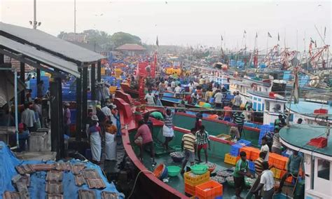 Bandar Fishing Harbour to be developed soon, govt directs officials to prepare DPR