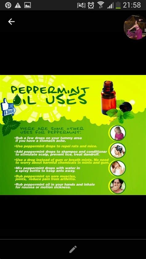 peppermint oil | Stomach ache, Peppermint, Stimulation