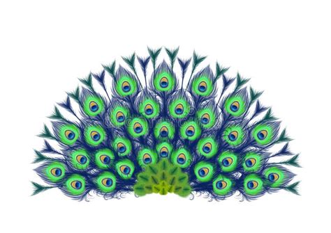 Peacock Feathers Stock Illustrations – 22,913 Peacock Feathers Stock Illustrations, Vectors ...