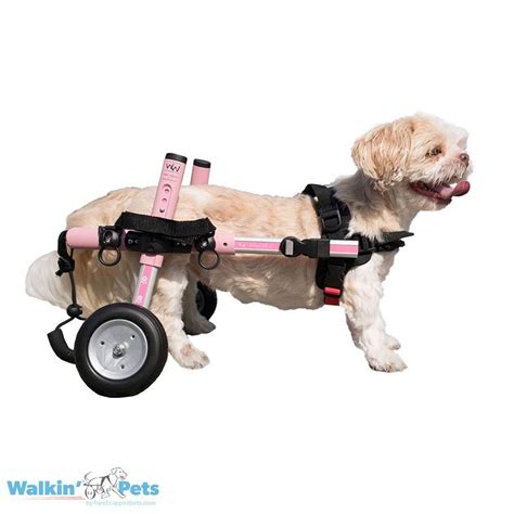 Walkin' Wheels SMALL Dog Wheelchair | Dog wheelchair, Diy dog wheelchair, Disabled dog