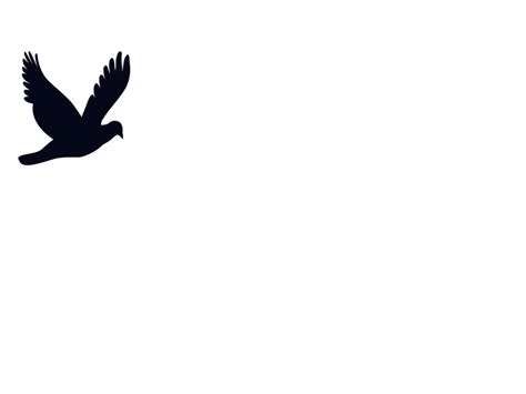 Free Flying Birds Gif Transparent, Download Free Flying Birds Gif Transparent png images, Free ...