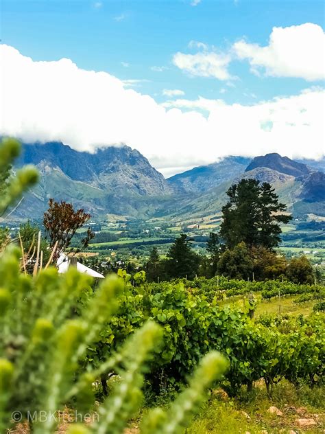 The Franschhoek Wine Valley: Seven Food & Wine Experiences You Can Indulge On • My Boozy Kitchen