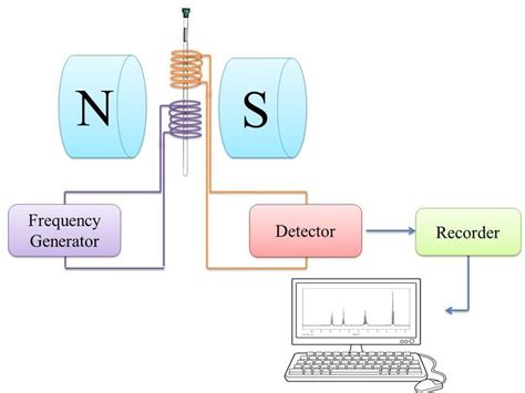 Schematic diagram illustrate the essential features of NMR spectrometer ...