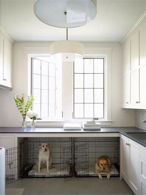 20 Functional Laundry With Dog Space Ideas | Housetodecor.com