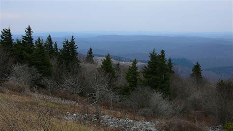 Wandering About Jeff: Monongahela National Forest: Spruce Knob and North Mountain