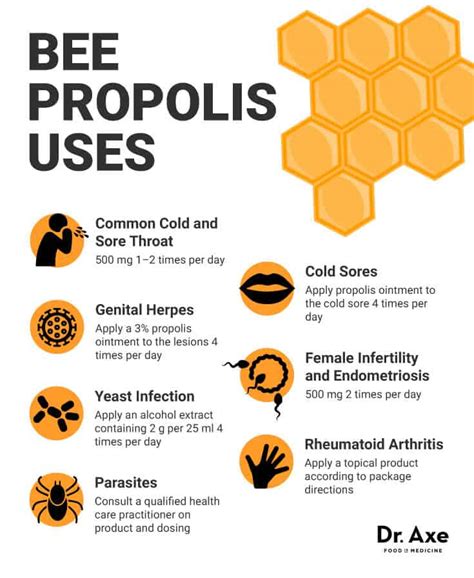 Top 6 Bee Propolis Benefits & Bee Propolis Uses - Dr. Axe