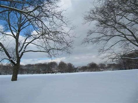 11 Fun Things To Do in Central Park in Winter