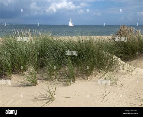 studland beach dorset Stock Photo - Alamy