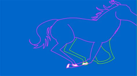 Eadweard Muybridge galloping horse (animated) - YouTube