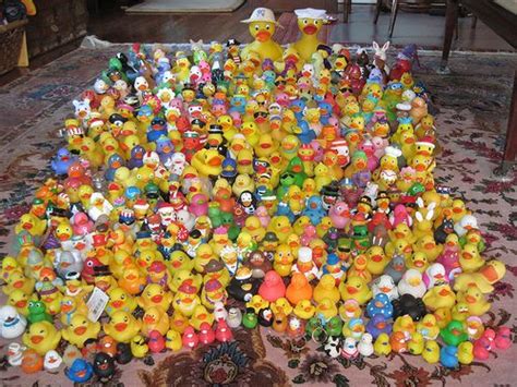 awesome duck collection | Rubber duck, Duck, Rubber ducky