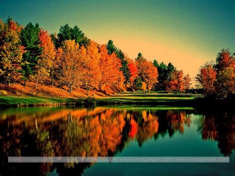 Autumn Sunsets Wallpaper Backgrounds - WallpaperSafari