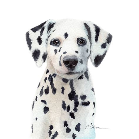 Watercolor Dalmatian puppy Dalmatian art print PRINTABLE | Etsy