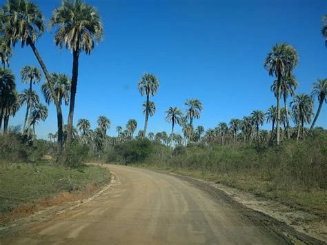 El Palmar National Park Photos - Featured Images of El Palmar National Park, Province of Entre ...