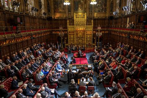 Who is in the House of Lords? Members with backgrounds and professional ...