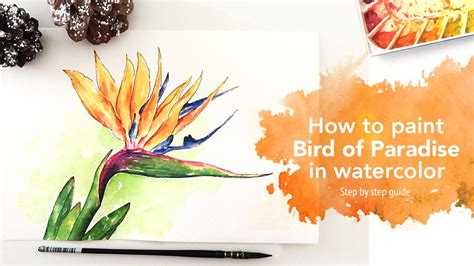 Bird of Paradise in Watercolor | Art by Snehal | Skillshare