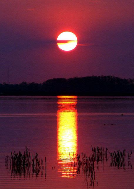 Lake Tohopekaliga sunset | Sommer fotografie, Fotografie natur, Fotografie