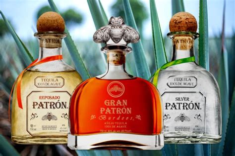 Which Patron Tequila Is Best? (Our 7 Top Picks) | Drinks Geek