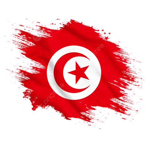 Tunisia Watercolor Brush Flag, Flag, World Cup 2022, Tunisia Flag PNG Transparent Clipart Image ...