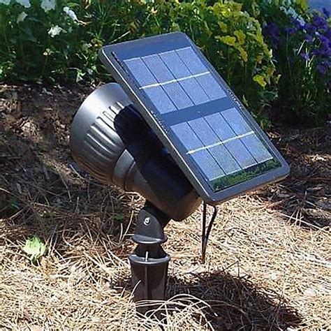 Solar Landscape Lighting - Solar Powered Outdoor Designs | Lamps Plus