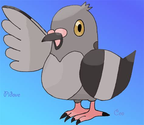 Pokemon- Pidove by Cecepaw on DeviantArt