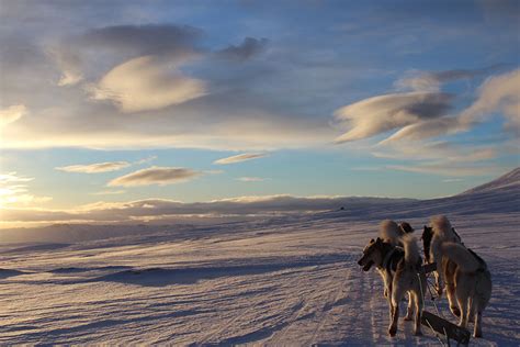 Iceland – About one’s place in Nature - Ioana Scumpu