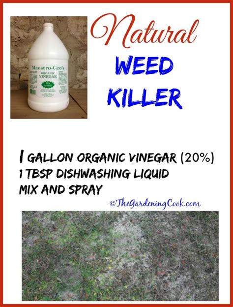 Vinegar Weed Killer - Killing Weeds The Organic Way