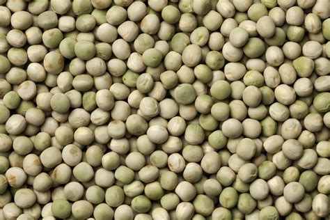 Seed Saving: Peas | Save Your Own Pea Seed - Allotment & Gardens