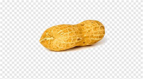 Brown peanut shell, Peanut Solo, food, nuts png | PNGEgg