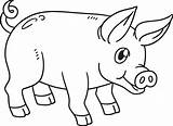 Coloring Pages Pigs sketch template
