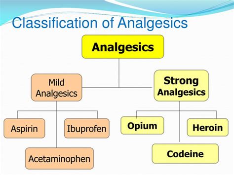 Analgesics: Pharmacology 101 Flashcards | Quizlet