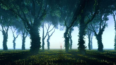 Forest Scene 004 3D model | CGTrader