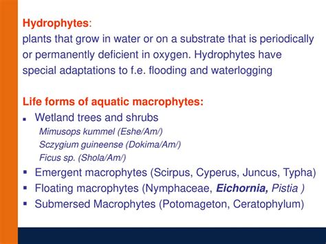 Lecture 3 Basic Processes - ppt download