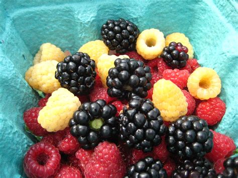 blackberries and red and yellow raspberries | Yellow raspberries, Fruits and veggies, Fresh fruit