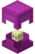 Shulker – Official Minecraft Wiki