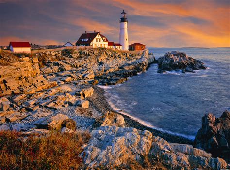 Beach Foraging With Maine Chef Andrew Taylor | HuffPost