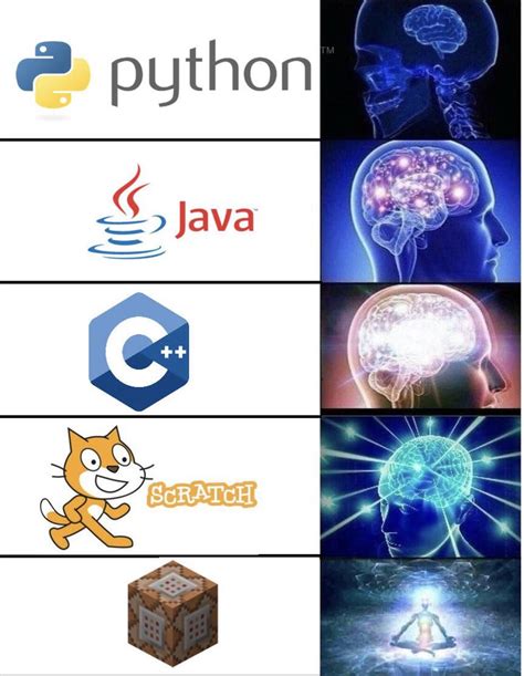 Coding Hierarchy : r/memes