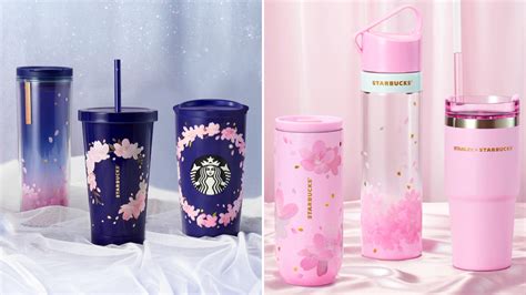 Starbucks Japan Tumbler SAKURA 2021 Mug Stainless Bottle Cold Cherry ...