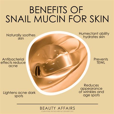 5 Surprising Snail Mucin Benefits For Your Skin | Facial skin care routine, Skin care routine ...