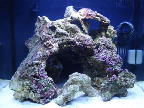different types of live rock aquascape - Google Search | Saltwater fish tanks, Reef tank ...