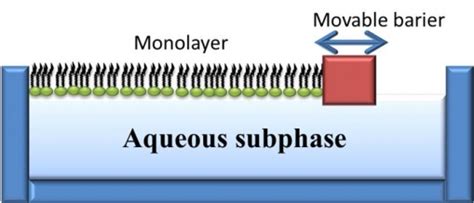 Langmuir trough - ITN SNAL - Marie Curie Initial Training Network