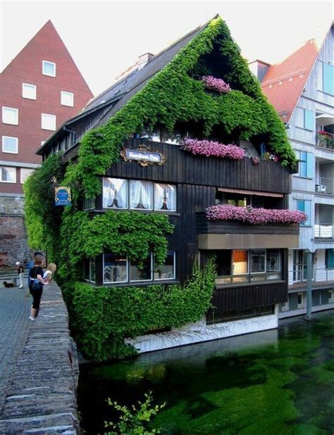 1000+ images about Ulm, Neu Ulm Germany on Pinterest | Roses, Bayern and A hotel