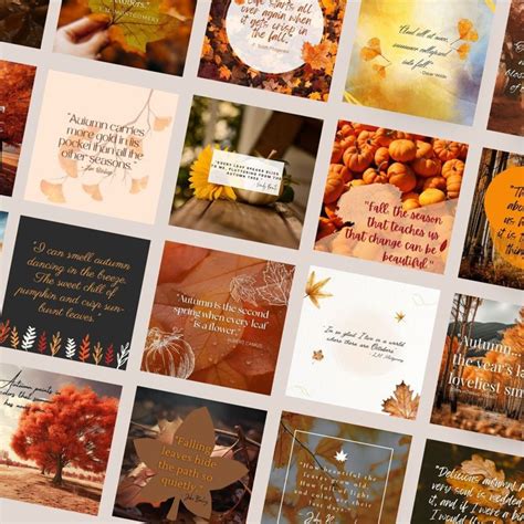 Fall Quotes Social Media Plan for Instagram - Cheyann Design's Ko-fi Shop - Ko-fi ️ Where ...