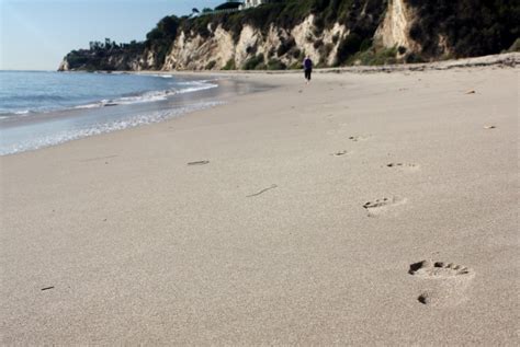 Paradise Cove Beach, Malibu, CA - California Beaches