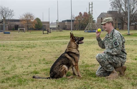 Bringing Military Service Dogs Home - LIFE