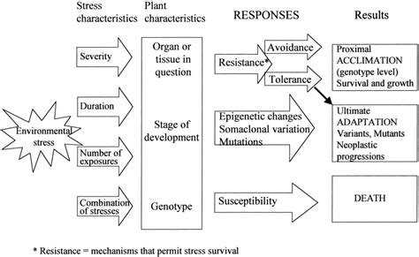 Plant responses to environmental stress in correspondence with stress ...