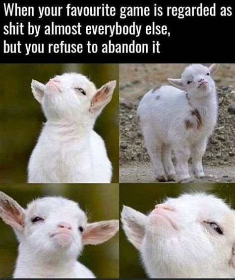 Stubborn baby goat : r/MemeTemplatesOfficial