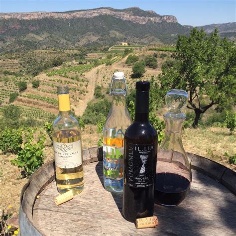 Practical Itinerary for Visiting the Priorat Wine Region • Winetraveler | Wine country travel ...