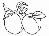 40  Peaches Coloring Pages Free Printable PDF JPG PNG & Online sketch template